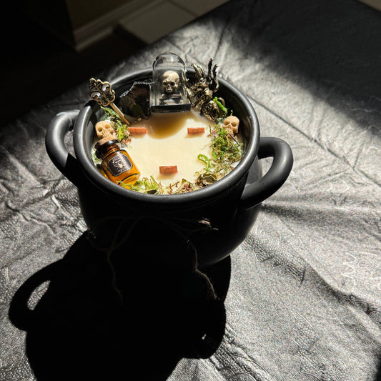 Cauldron Of Curiosities